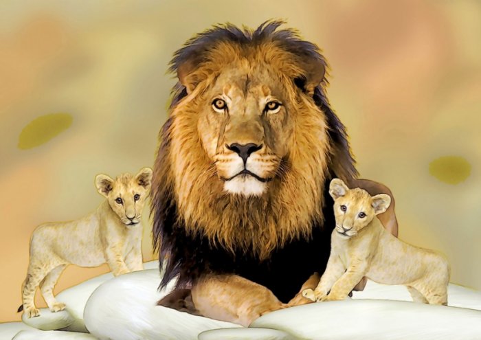 Lion And Cubst Framed Print